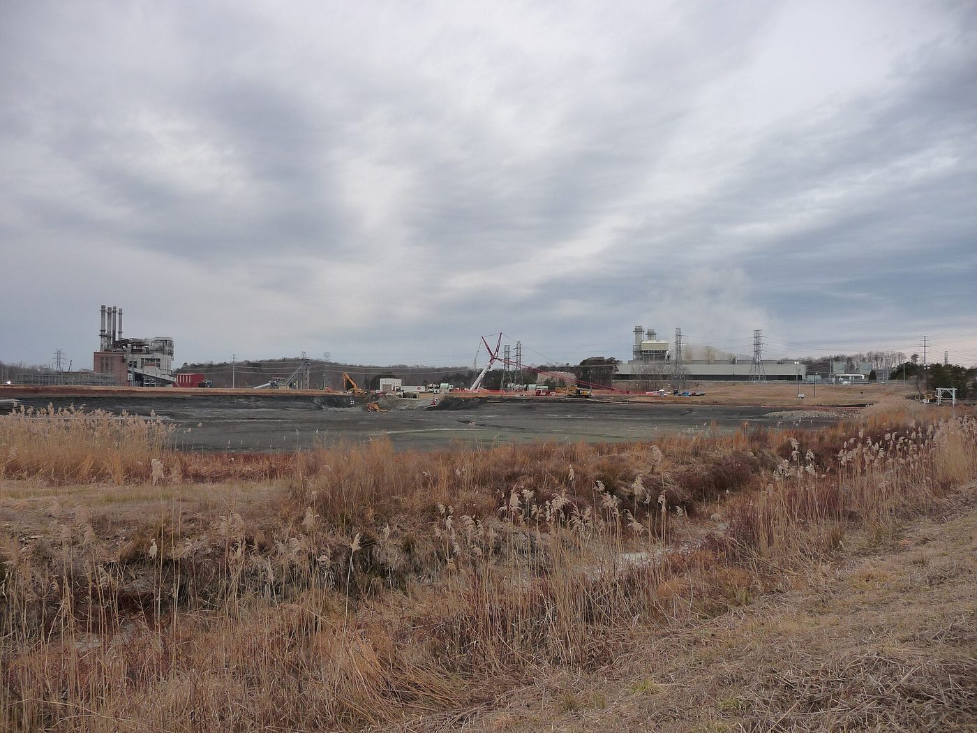 Photograph of a drained coal ash basin at a power plant site: a flat gray expanse of ash behind dry reeds and grasses, with smokestacks, power plant buildings and a crane on the horizon under a cloudy sky.