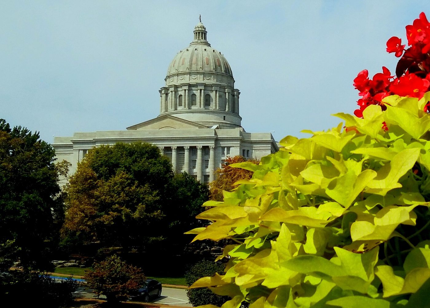 Photograph of the Missouri State Capitol in Jefferson City, a domed neoclassical building with columns, seen beyond trees, with bright red flowers and chartreuse leaves in the foreground.